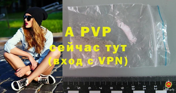 стафф Баксан