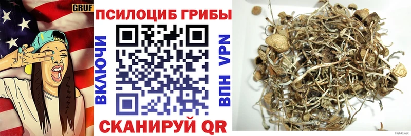 магазин продажи   Бокситогорск  мега ONION  Галлюциногенные грибы Psilocybe 